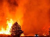 California, Heat Conditions Make Arson More Potent Threat