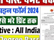 India Post IPPB Executive Online Form 2024