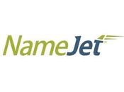 NameJet/SnapNames October Sales TianTian.com