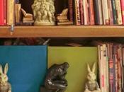 Photos Scanned, Clean Happened