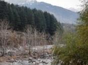 Manali, Travel Eating Out: Nature’s Beauty