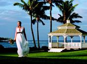 Best Wedding Venue Couples Love Spring