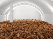 Paper Arts Sound Installation