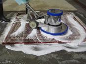 Business Ideas Carpet Wash (Rug Cleaning)