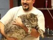 He’s More Godzilla Than Meatball.