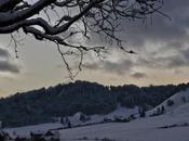 After Such Cold, Winter Dusk Switzerland