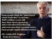 ‘Extreme’ Vegan Diet