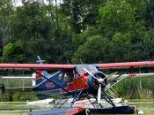 Havilland DHC-2 Beaver