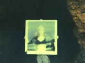 Painted Palms’ Forever