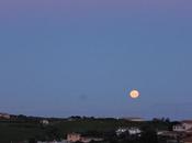 Good Morning Moon Over Asinara