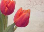 Love, Tulips Finds Nature