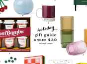 Holiday Gift Guide Under