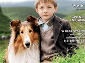 Lassie (2005) Movie Review