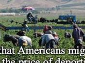 Americans Realize Huge Cost Massive Deportations?