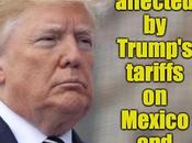 These Products Will Affected Trump's Tariffs Mexico/Canada