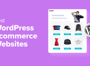 Best WordPress eCommerce Website Examples Design Tips)