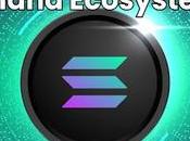 Looking Next Solana Ecosystem? Your Guide Unich Trading