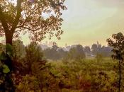 Claude Sonata Describes Photo Dawn Liberty State Park