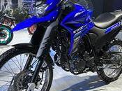 Yamaha's Lander Bike Landed India, with Powerful Engine Packed Surprises