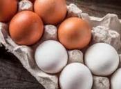 Chickens Eggs: White Brown