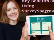 SurveySparrow Enhances Data Collection Analysis Businesses?