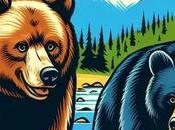 Tell Black Bears from Brown Bears: Practical Guide