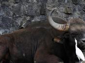 கன்னத்தில் முத்தமிட்டால்