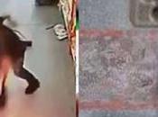 Mobile Bursting Pocket Pants, Women Were Killed Cheap Motorola Phones