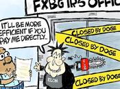 Musk's View Efficient Government