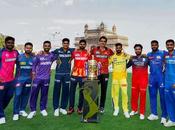 2025 Start Some Trivia Photos