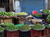 Vadu Mangai Season Starts