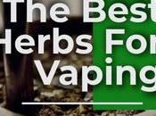 Best Herbs Vaping: Comprehensive Guide