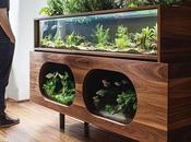 Steps Deep Clean Your Fish Tank Right