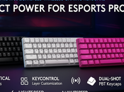 Logitech Lightspeed Wireless Gaming Keyboard Review: Small with Mechanical Feel High Price