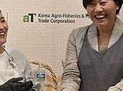 From Seoul Singapore: Indulge Rich Flavors Korean Cuisine