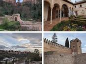 What Learned Looking Back Forward: March 2025