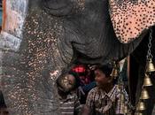 Elephant Temple யானையின் மணிகளும்