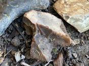 Kingship.Choice.Discipleship. Palm Sunday 2025