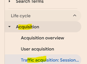 Handy Report Organic Traffic