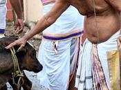Compassion ஐம்பதிலும் வரும்