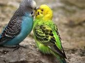 Great Kiss: Tips Make Memorable