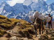 Best Climbing Peaks Nepal Worthy Your Ascent