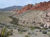 ROCK CANYON, VEGAS, NEVADA: Towering Rocks, Hiking Trails, Ancient Rock Mojave Desert