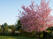 Crunchy Leaves Clean Corners: Autumn Maintenance Done Right