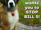 Help Hazel STOP BILL Ontario That Will Destroy Endangered Species