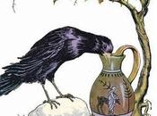 Summer Thirsty Pigeon