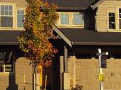 TCBY with Pickles Please