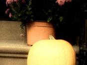 Besotted with Season