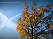 Autumn Scotland