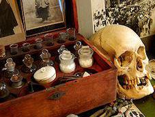 Mummies Monkey Skulls: Creepiest Antiques